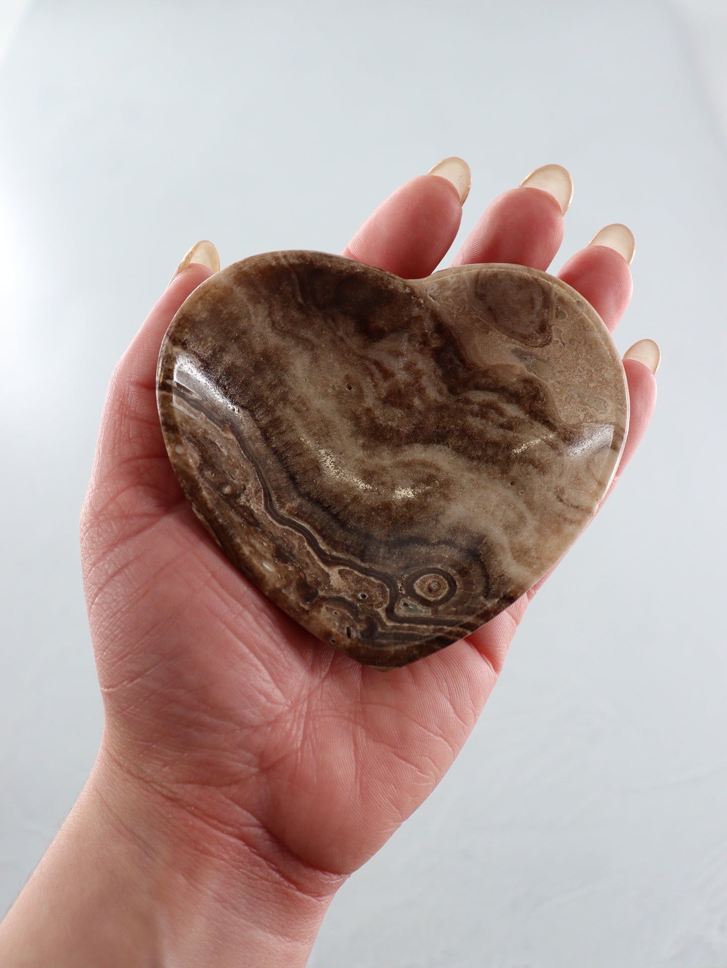 Chocolate Zebra Onyx Heart Bowls Set of 6 - Expert Supplier of Wholesale Crystals & Bulk Gemstones