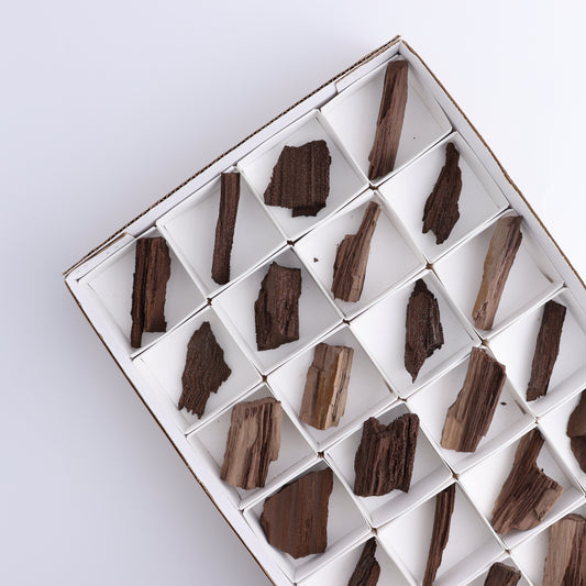 Permineralized Wood Flat of 24 - Expert Wholesale and Supplier of Wholesale Crystals & Bulk Gemstones, ["Flats","Germany","Permineralized Wood"]