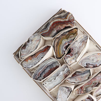 Crazy Lace Agate Flat of 13