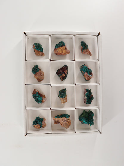 Dioptase Flat Set of 12