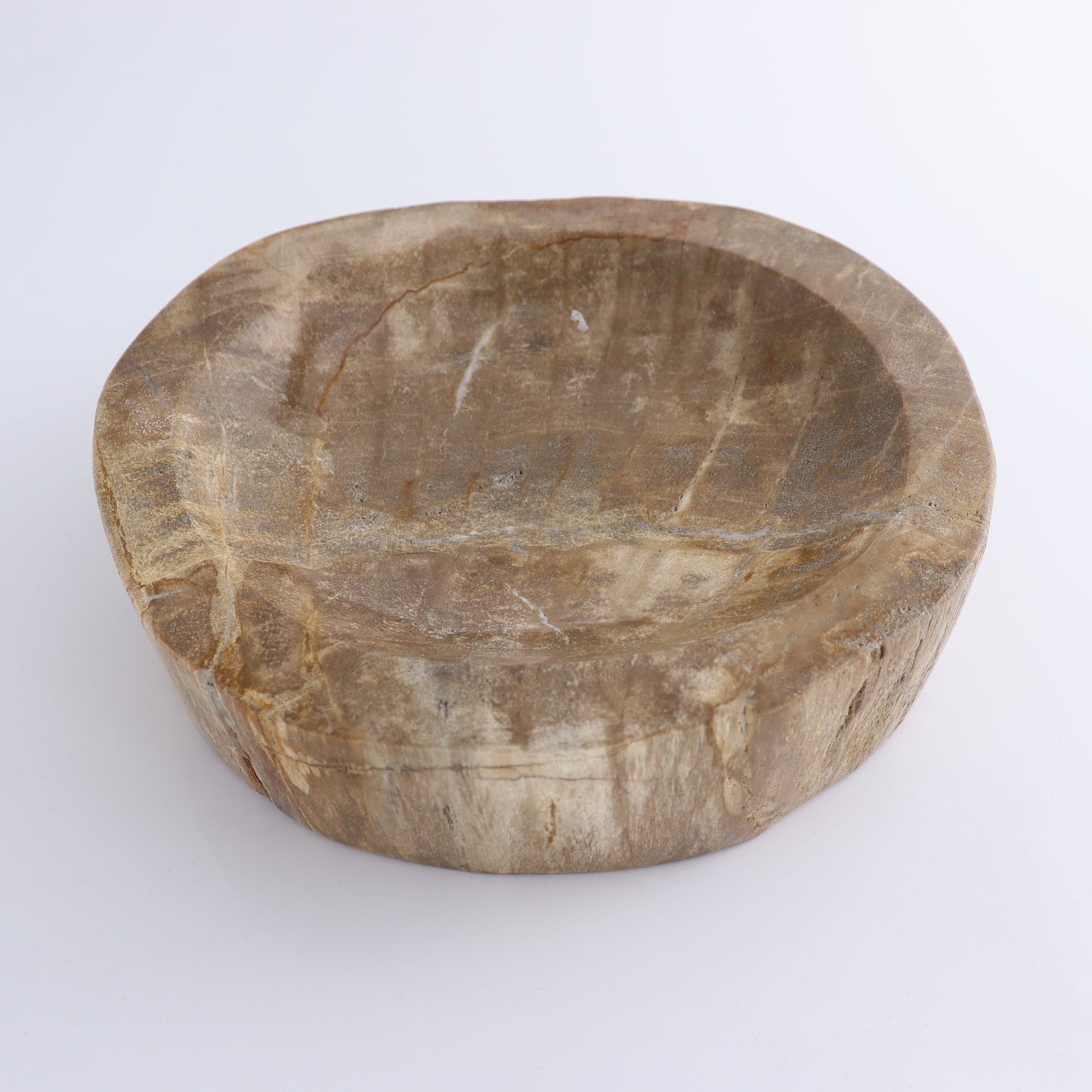 Bowl Petrified Wood - Expert Wholesale and Supplier of Wholesale Crystals & Bulk Gemstones, ["Bowls","Indonesia","Petrified Wood"]