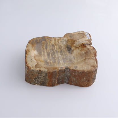 Petrified Wood Bowl - Expert Wholesale and Supplier of Wholesale Crystals & Bulk Gemstones, ["Bowls","Indonesia","Petrified Wood"]