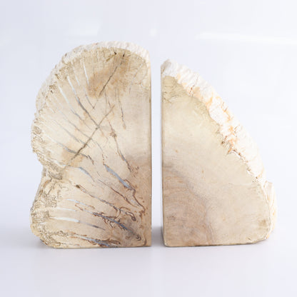 Bookends Petrified Wood - Expert Wholesale and Supplier of Wholesale Crystals & Bulk Gemstones, ["Bookends","Indonesia","Petrified Wood"]