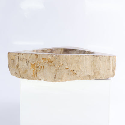 Petrified Wood Bowls Set of 2 - Expert Wholesale and Supplier of Wholesale Crystals & Bulk Gemstones, ["Bowls","Indonesia","Petrified Wood"]
