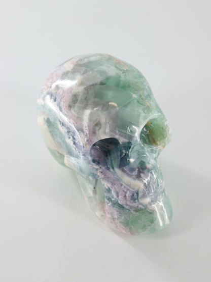 Fluorite Skull - Expert Wholesale and Supplier of Wholesale Crystals & Bulk Gemstones, []