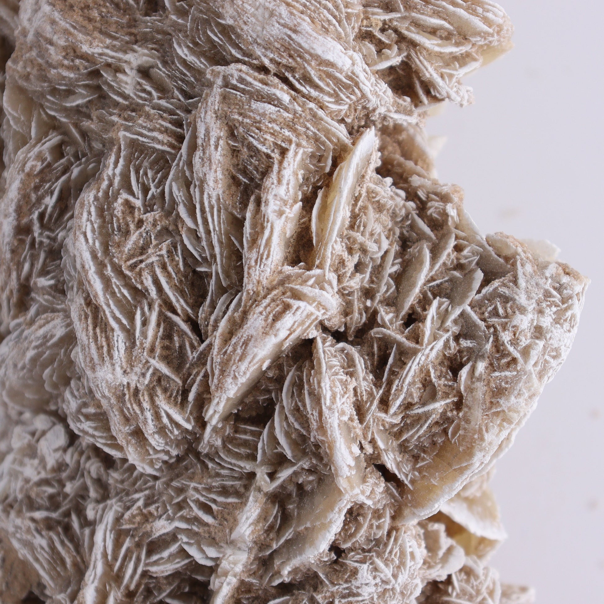 Desert Rose Cluster - Expert Wholesale and Supplier of Wholesale Crystals & Bulk Gemstones, ["Desert Rose","Freeforms"]