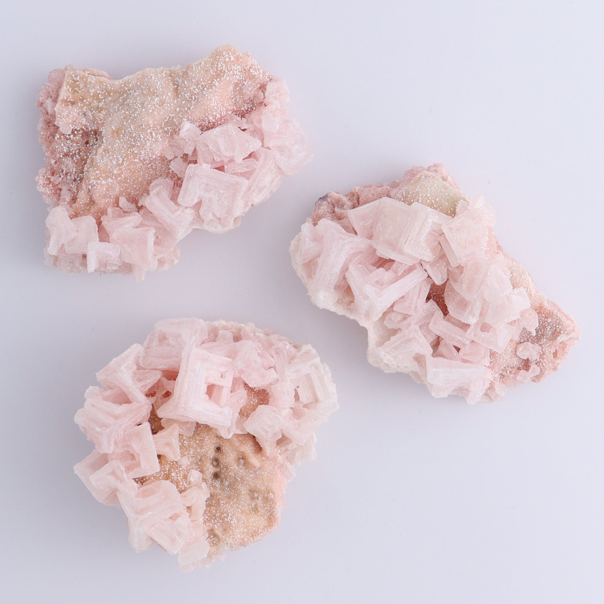 Searles Lake Halite Flat of 6 - Expert Wholesale and Supplier of Wholesale Crystals & Bulk Gemstones, ["Flats","Halite","United States"]