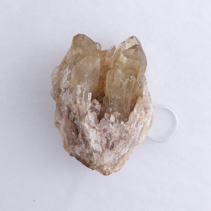 Congo Citrine Set of 6