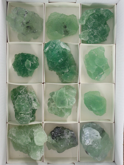 Fluorite Flat Set of 12