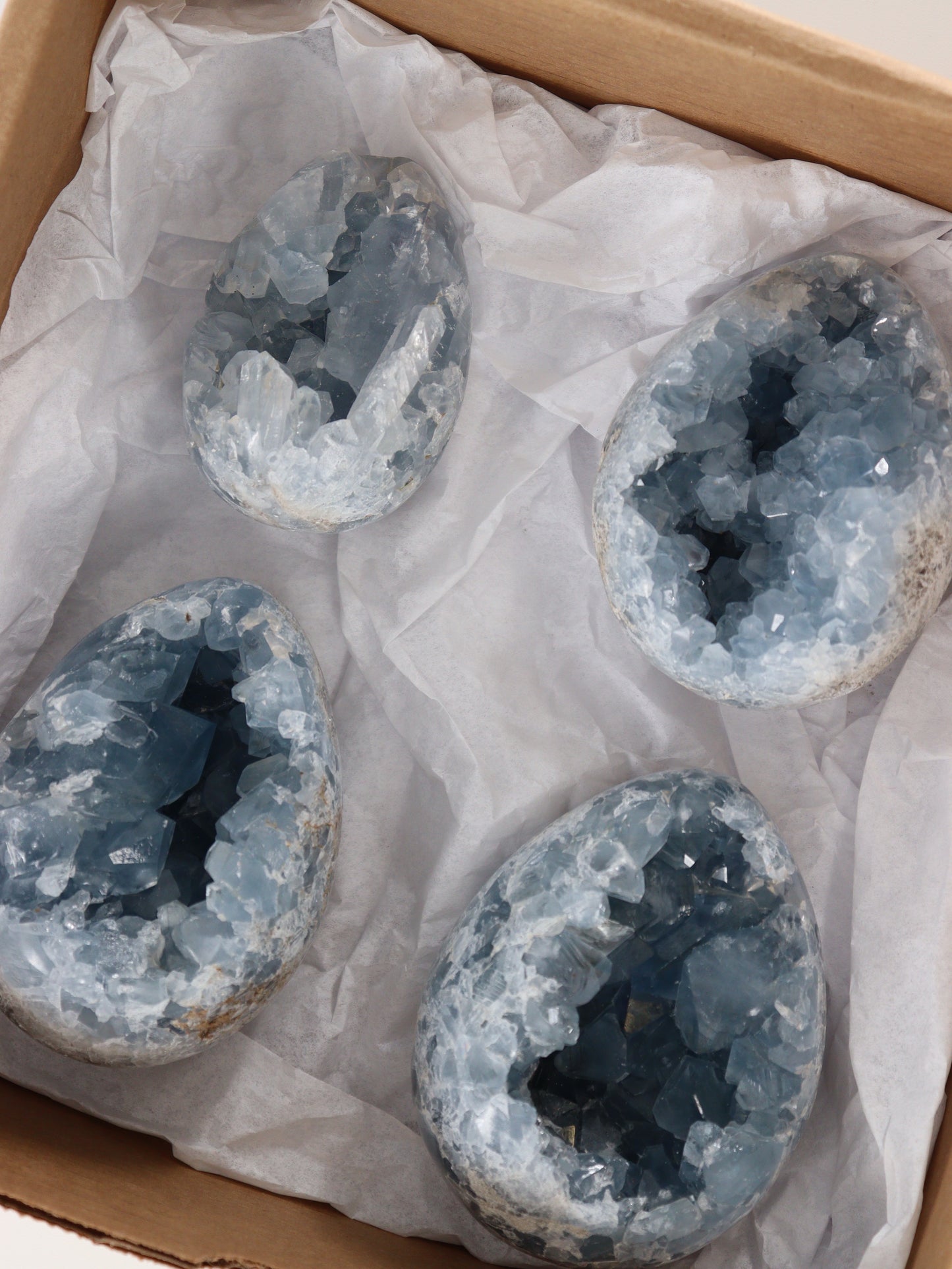 Celestite Eggs Set of 4 - Expert Wholesale and Supplier of Wholesale Crystals & Bulk Gemstones, []