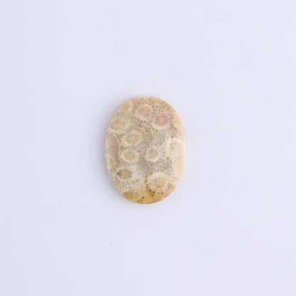 One Fossil Coral Oval Cab - Expert Wholesale and Supplier of Wholesale Crystals & Bulk Gemstones, ["Cabs","fossil coral","Oval"]