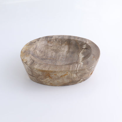 One Large Petrified Wood Brown Polished Bowl