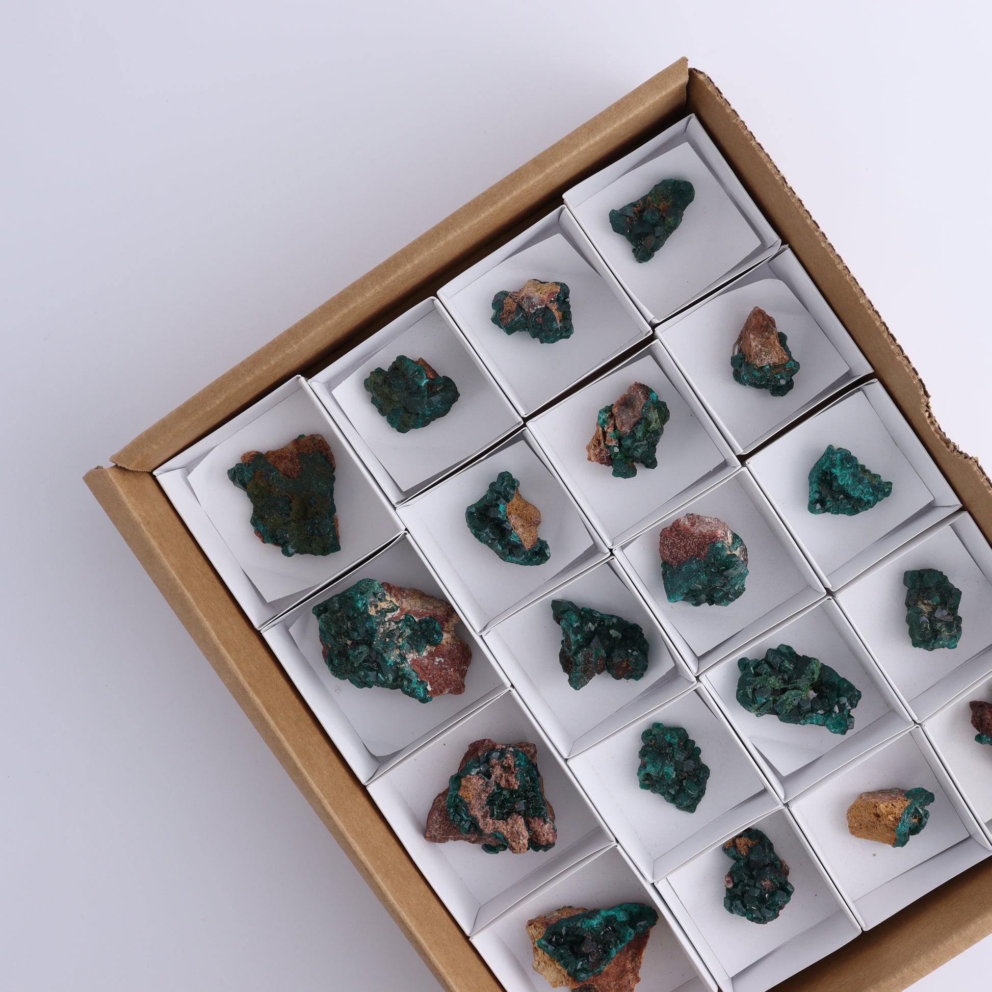 Dioptase Set of 19 - Expert Wholesale and Supplier of Wholesale Crystals & Bulk Gemstones, ["dioptase","Freeform","Freeforms"]