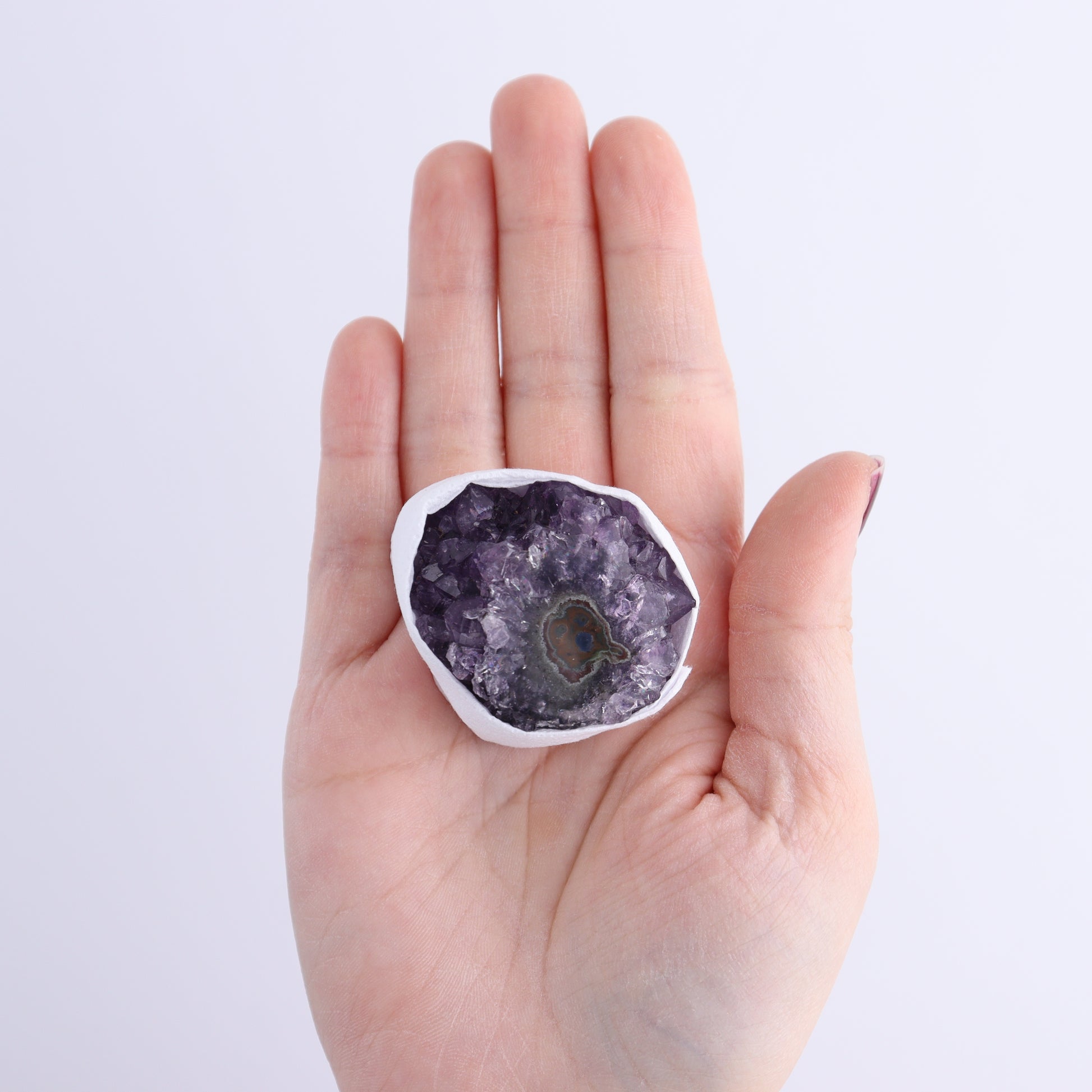 Uruguay Amethyst Clusters with "Eyes" Flat of 10 - Expert Wholesale and Supplier of Wholesale Crystals & Bulk Gemstones, []