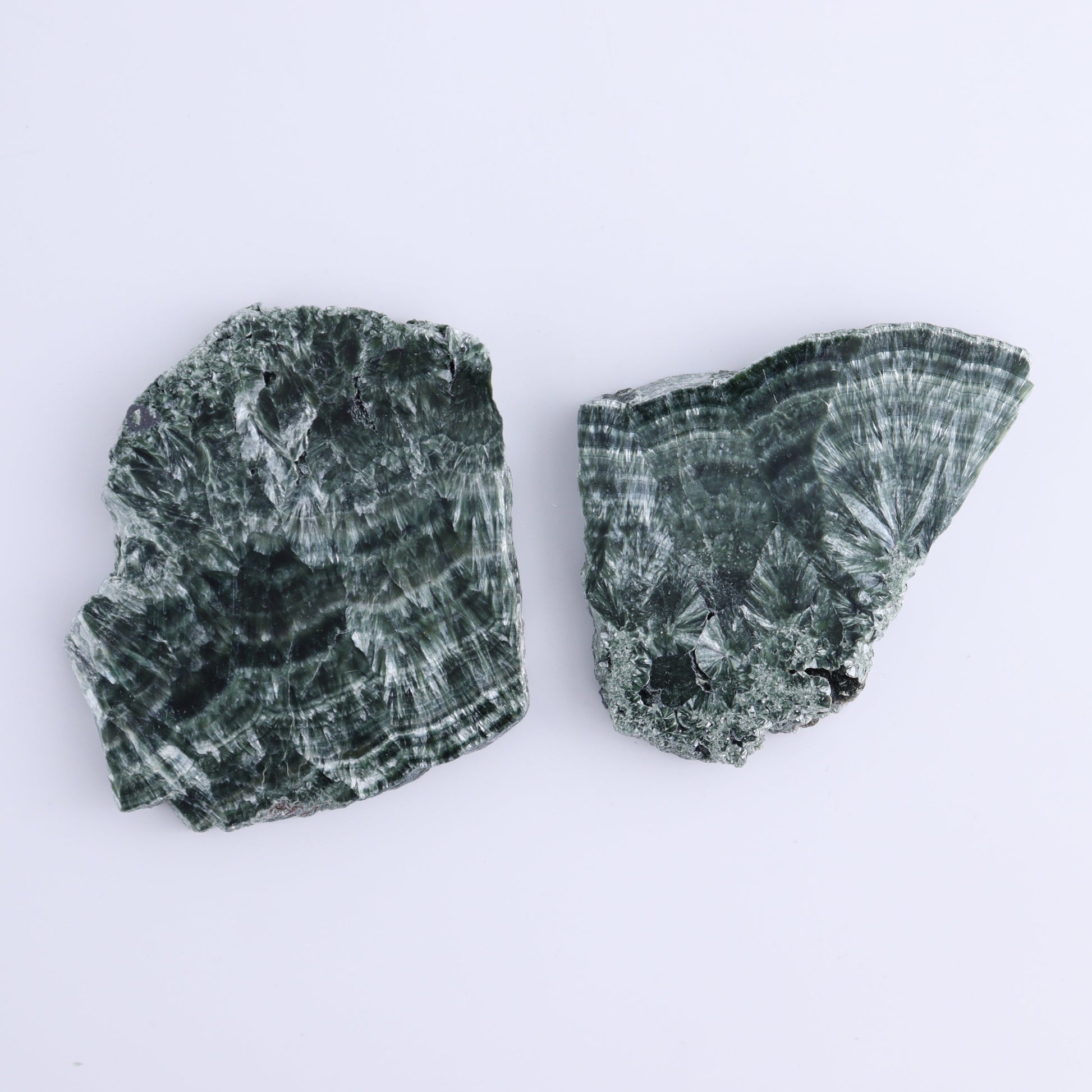 Seraphinite Slices Set of 6 - Expert Wholesale and Supplier of Wholesale Crystals & Bulk Gemstones, ["Russia","Seraphinite","Slices and Slabs"]