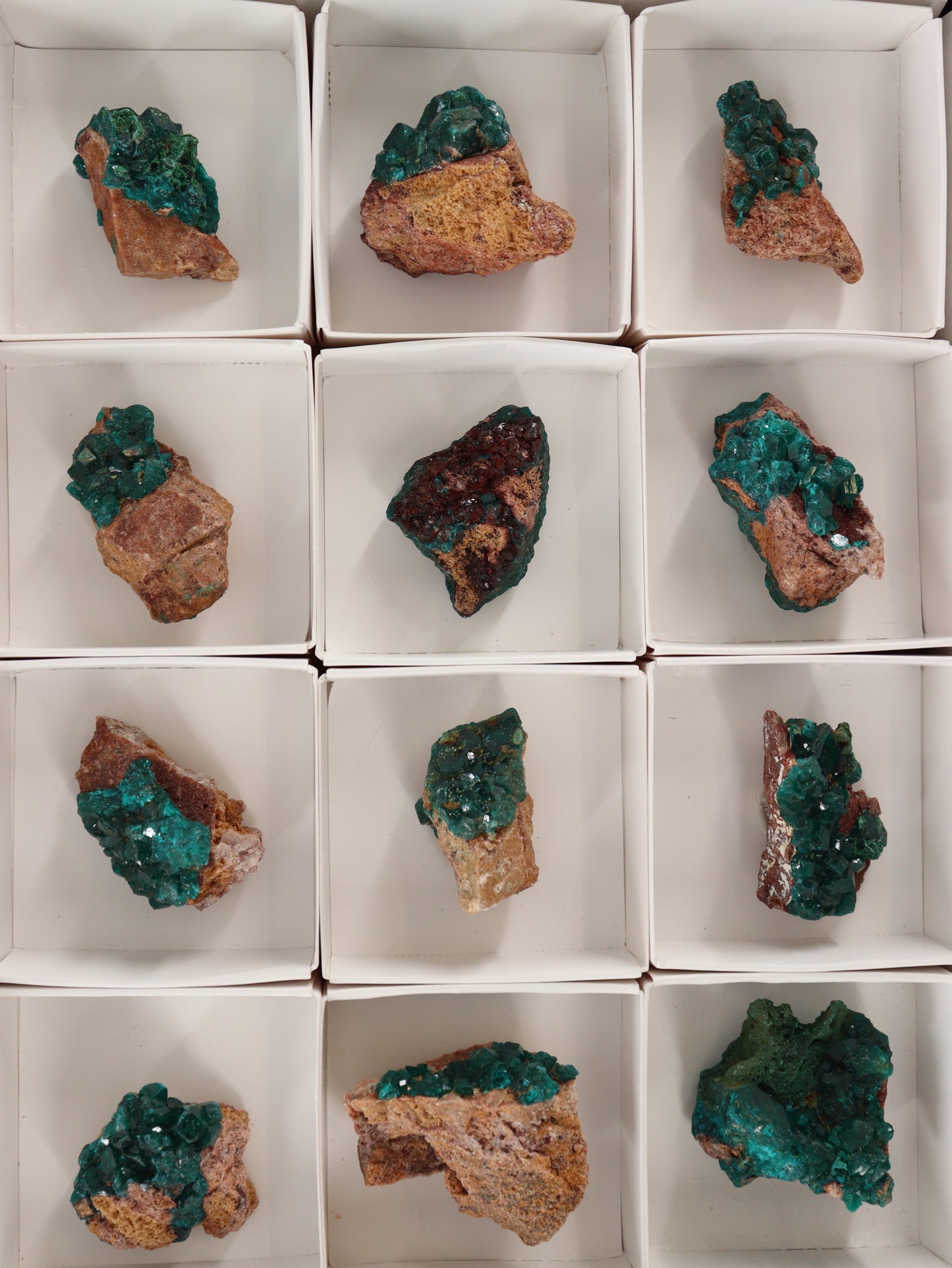 Dioptase Flat Set of 12