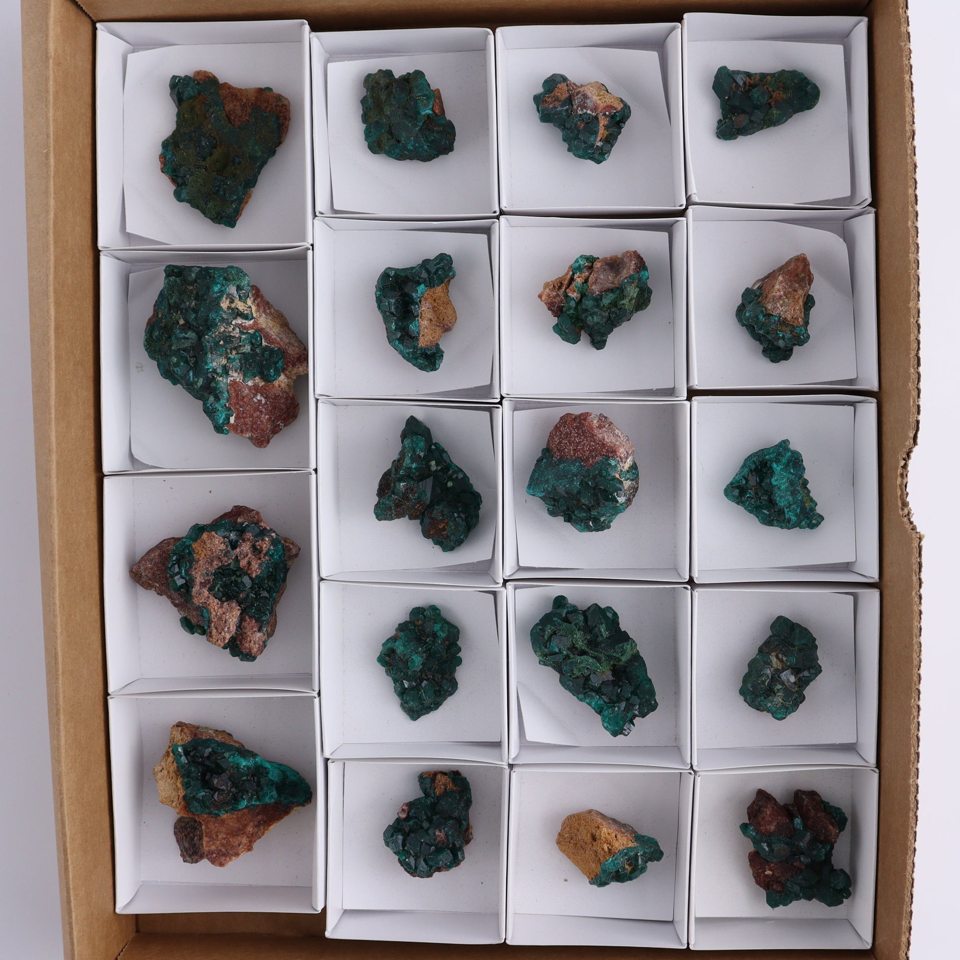 Dioptase Set of 19 - Expert Wholesale and Supplier of Wholesale Crystals & Bulk Gemstones, ["dioptase","Freeform","Freeforms"]