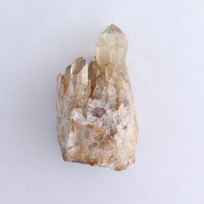 Congo Citrine Set of 6