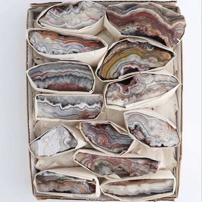 Crazy Lace Agate Flat of 13