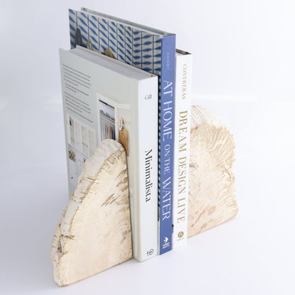 Bookends Petrified Wood - Expert Wholesale and Supplier of Wholesale Crystals & Bulk Gemstones, ["Bookends","Indonesia","Petrified Wood"]
