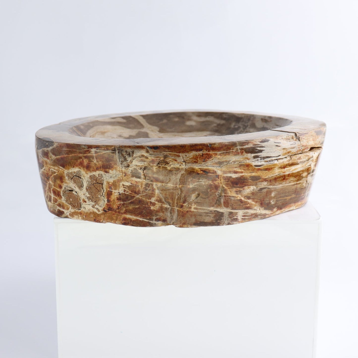 One Large Petrified Wood Brown Polished Bowl