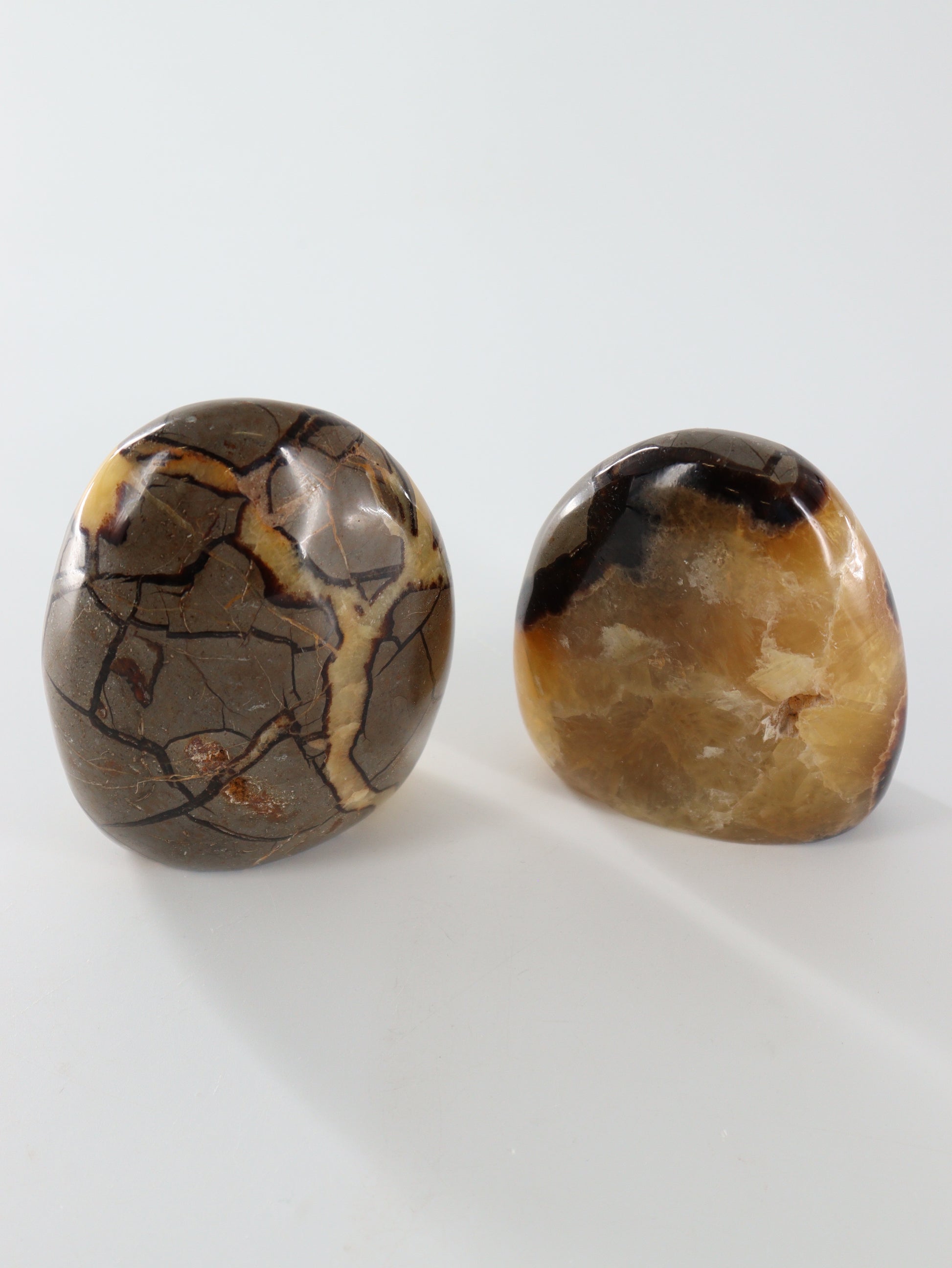 Septarian Freeforms Set of 6 - Expert Wholesale and Supplier of Wholesale Crystals & Bulk Gemstones, []