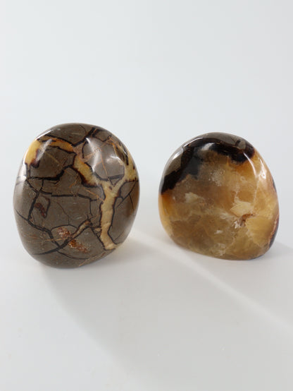 Septarian Freeforms Set of 6 - Expert Wholesale and Supplier of Wholesale Crystals & Bulk Gemstones, []