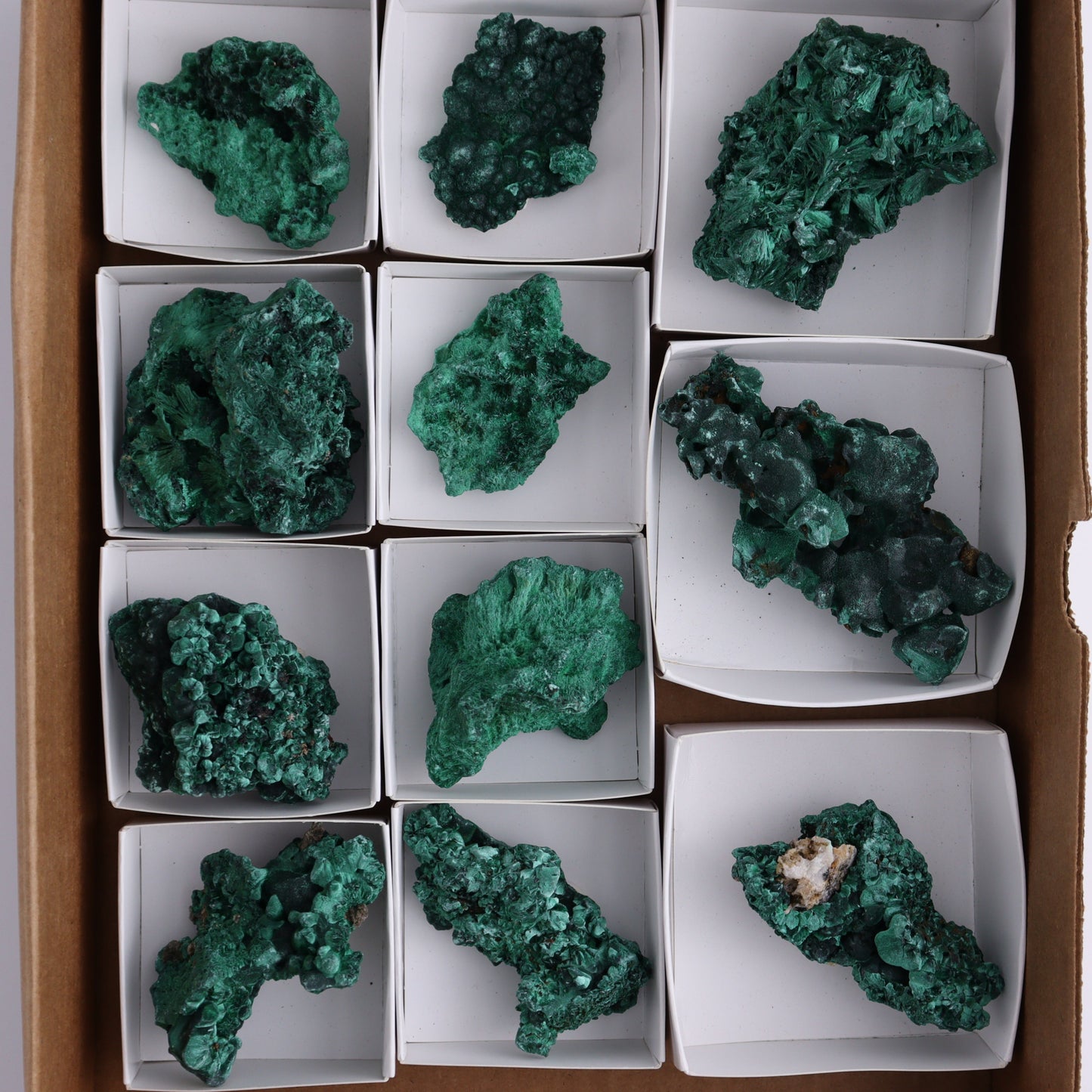 Malachite Freeforms Set of 11 - Expert Wholesale and Supplier of Wholesale Crystals & Bulk Gemstones, ["Freeform","Malachite","South Africa"]