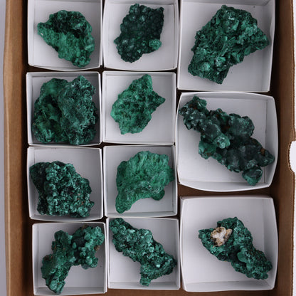 Malachite Freeforms Set of 11 - Expert Wholesale and Supplier of Wholesale Crystals & Bulk Gemstones, ["Freeform","Malachite","South Africa"]