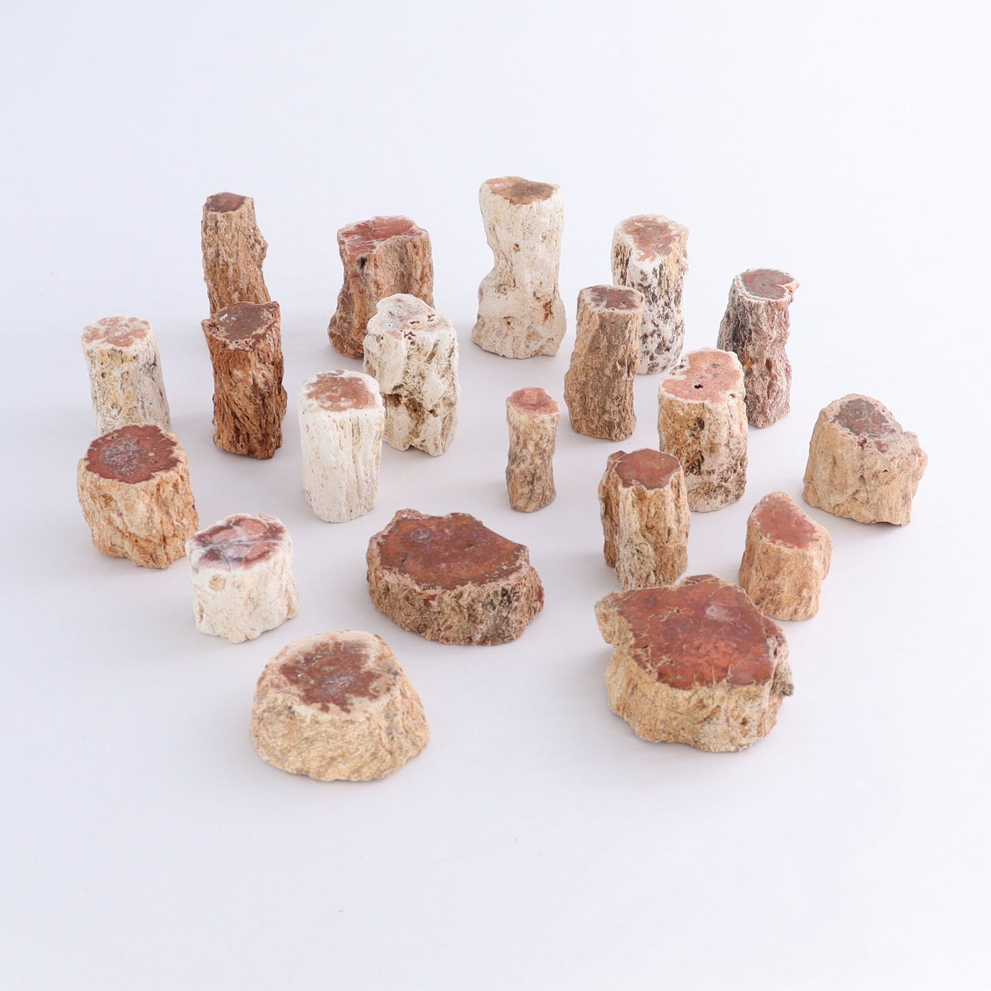 Petrified Wood Cut Bases Set of 20 - Expert Wholesale and Supplier of Wholesale Crystals & Bulk Gemstones, ["Cut Base","Petrified Wood"]