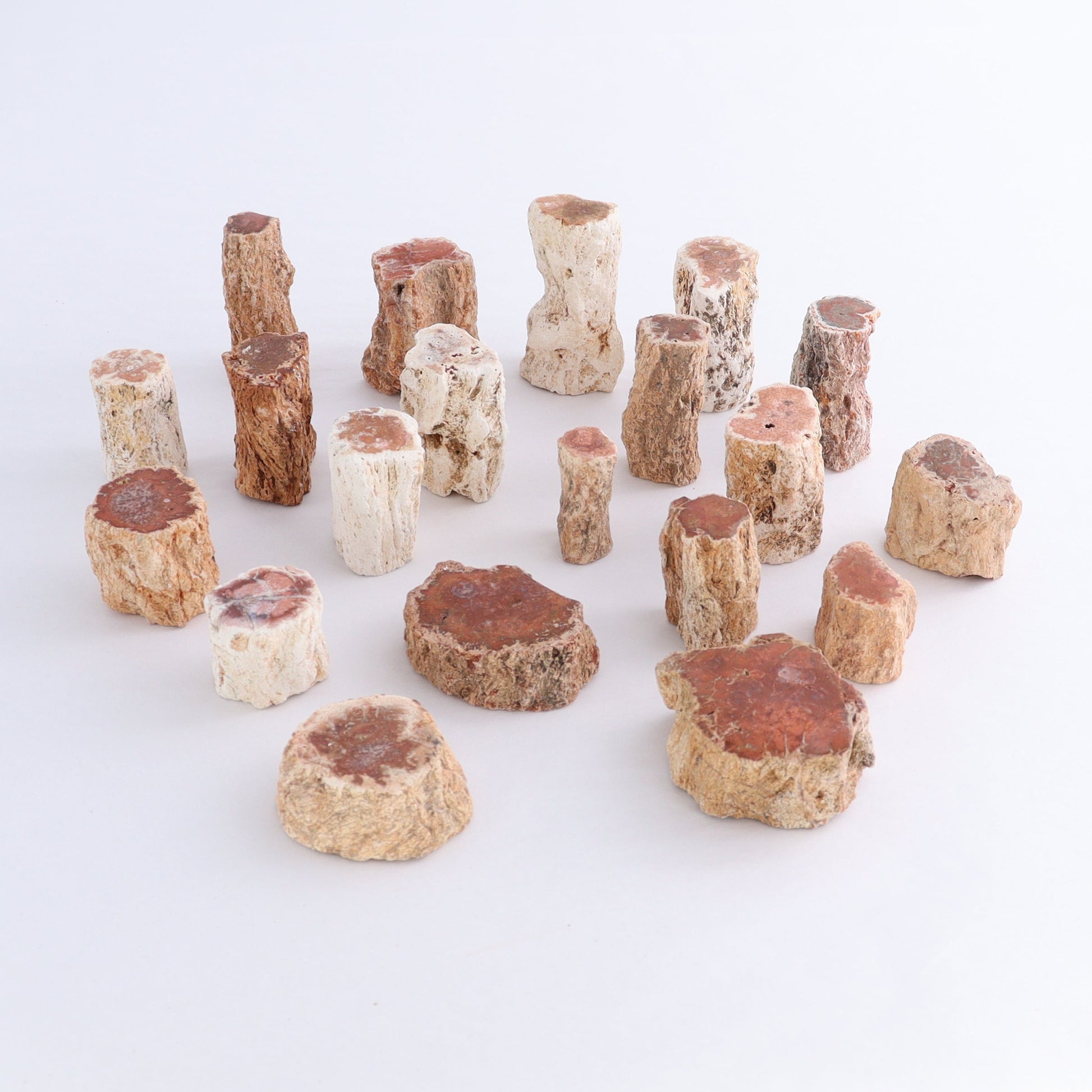 Petrified Wood Cut Bases Set of 20 - Expert Wholesale and Supplier of Wholesale Crystals & Bulk Gemstones, ["Cut Base","Petrified Wood"]