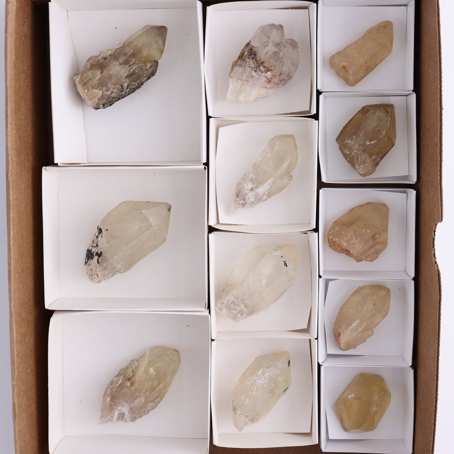 Congo Citrine Set of 12 - Expert Wholesale and Supplier of Wholesale Crystals & Bulk Gemstones, ["Citrine","Congo","Rough","Roughs"]