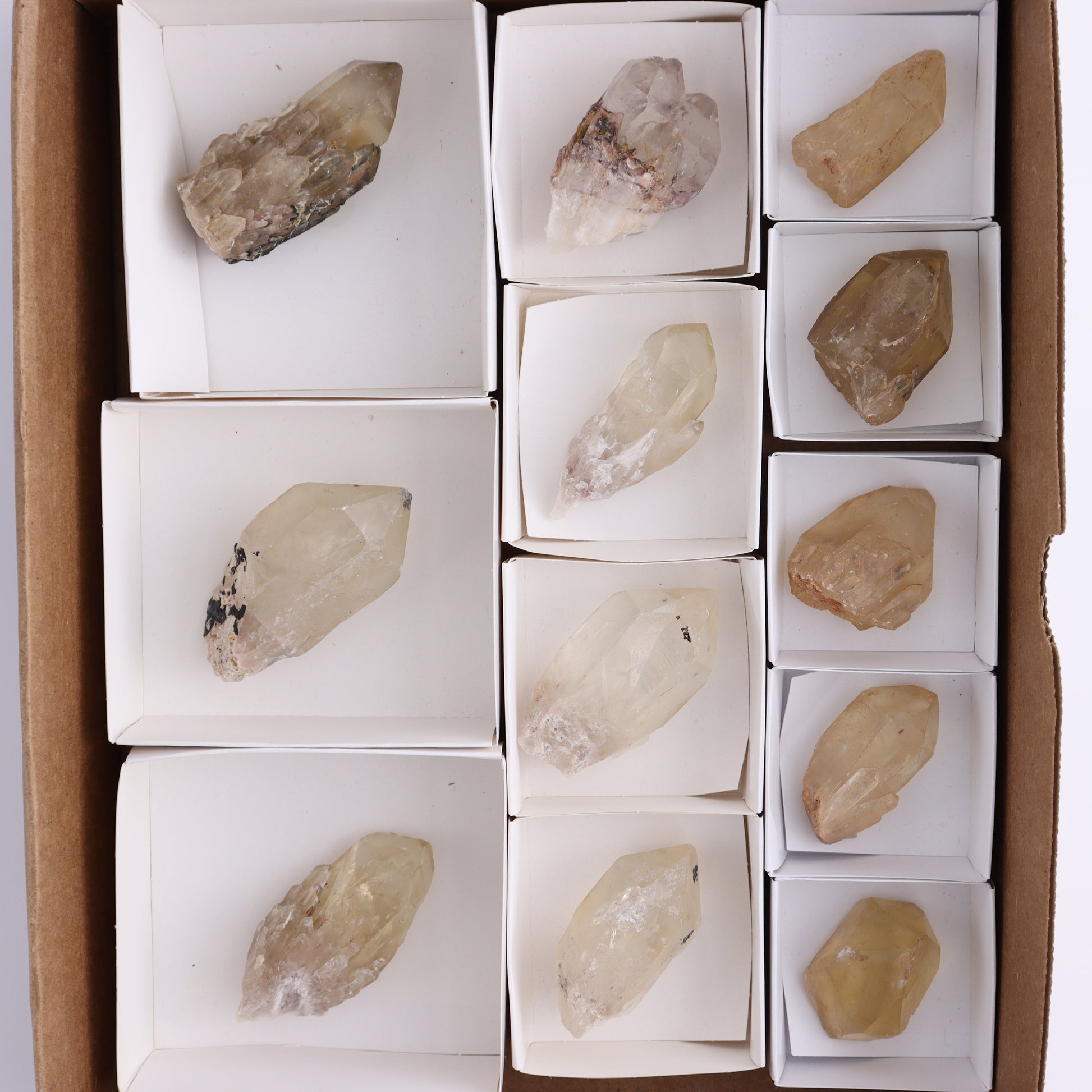 Congo Citrine Set of 12 - Expert Wholesale and Supplier of Wholesale Crystals & Bulk Gemstones, ["Citrine","Congo","Rough","Roughs"]