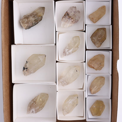 Congo Citrine Set of 12 - Expert Wholesale and Supplier of Wholesale Crystals & Bulk Gemstones, ["Citrine","Congo","Rough","Roughs"]