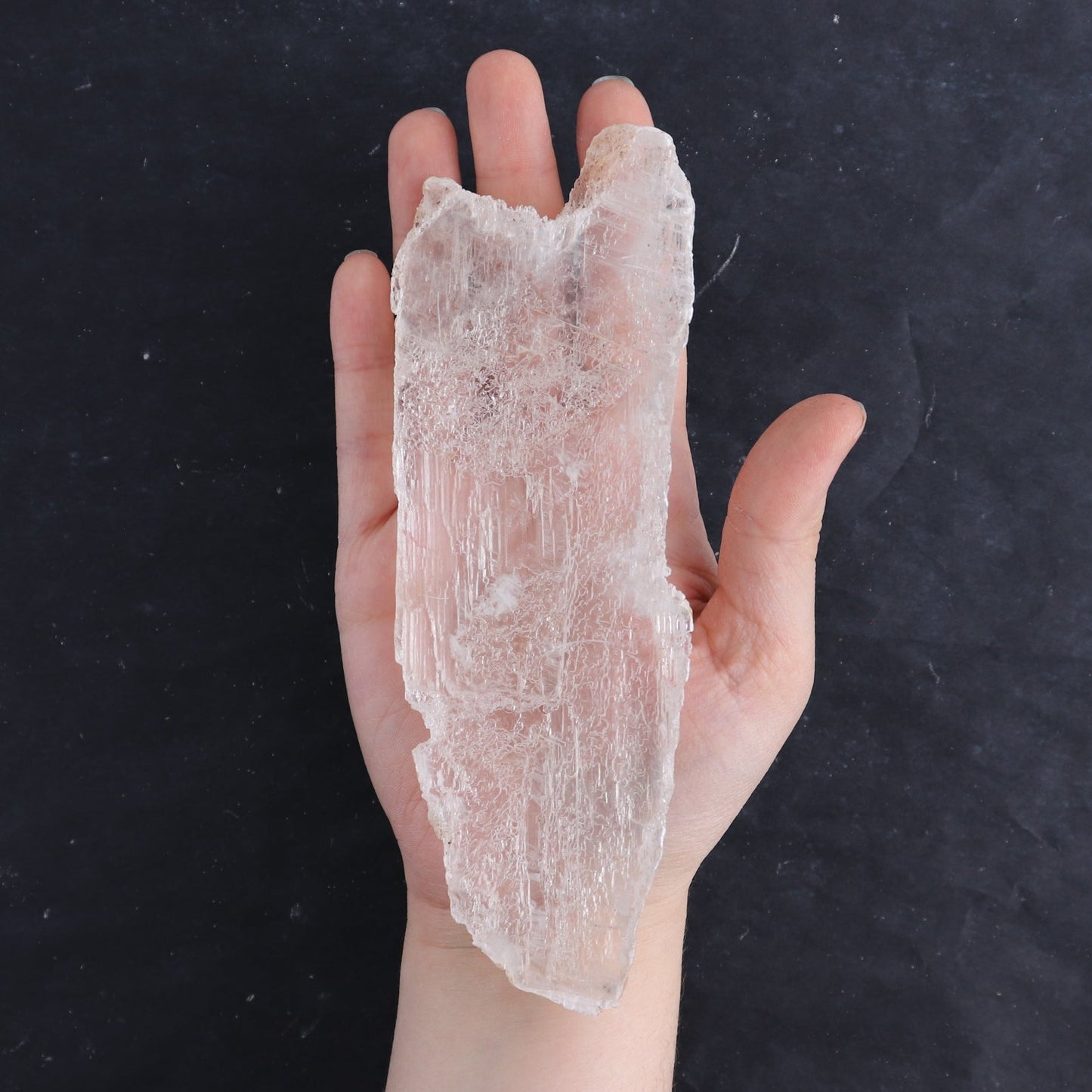 Selenite from Chihuahua Set of 8