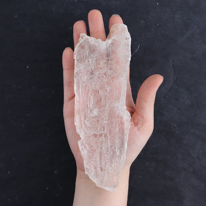 Selenite from Chihuahua Set of 8