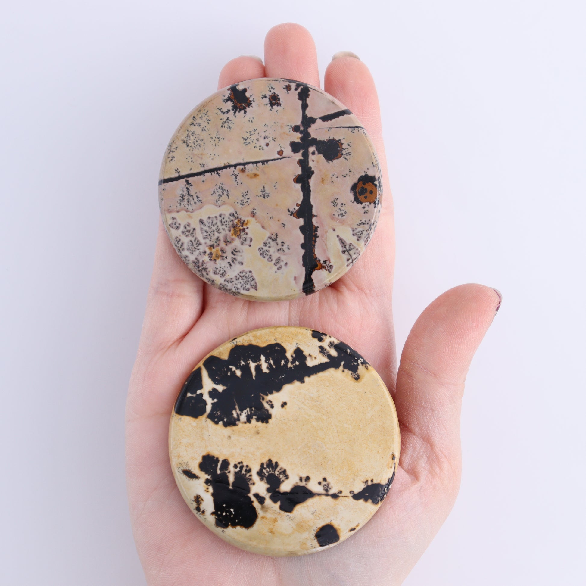 Picture Jasper Discs Set of 10 - Expert Wholesale and Supplier of Wholesale Crystals & Bulk Gemstones, ["China","Picture Jasper","Round"]