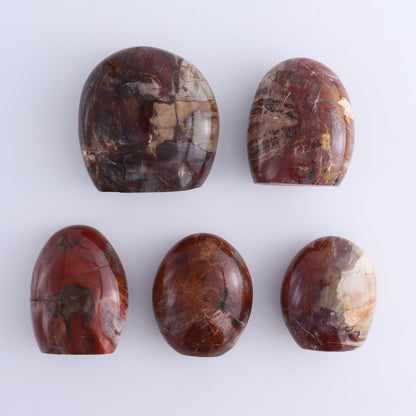 Petrified Wood Freeforms Set of 5 - Expert Wholesale and Supplier of Wholesale Crystals & Bulk Gemstones, ["Freeform","Freeforms","Madagascar","Petrified Wood"]