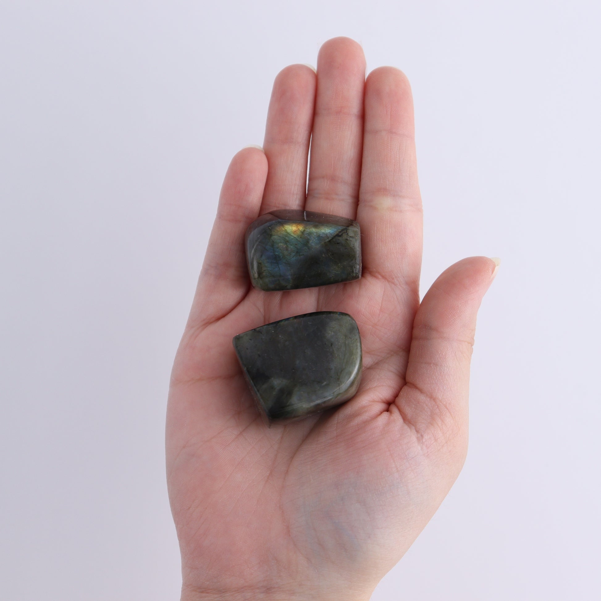 Labradorite Freeform Set of 18 - Expert Wholesale and Supplier of Wholesale Crystals & Bulk Gemstones, ["Freeforms","Labradorite","Madagascar"]