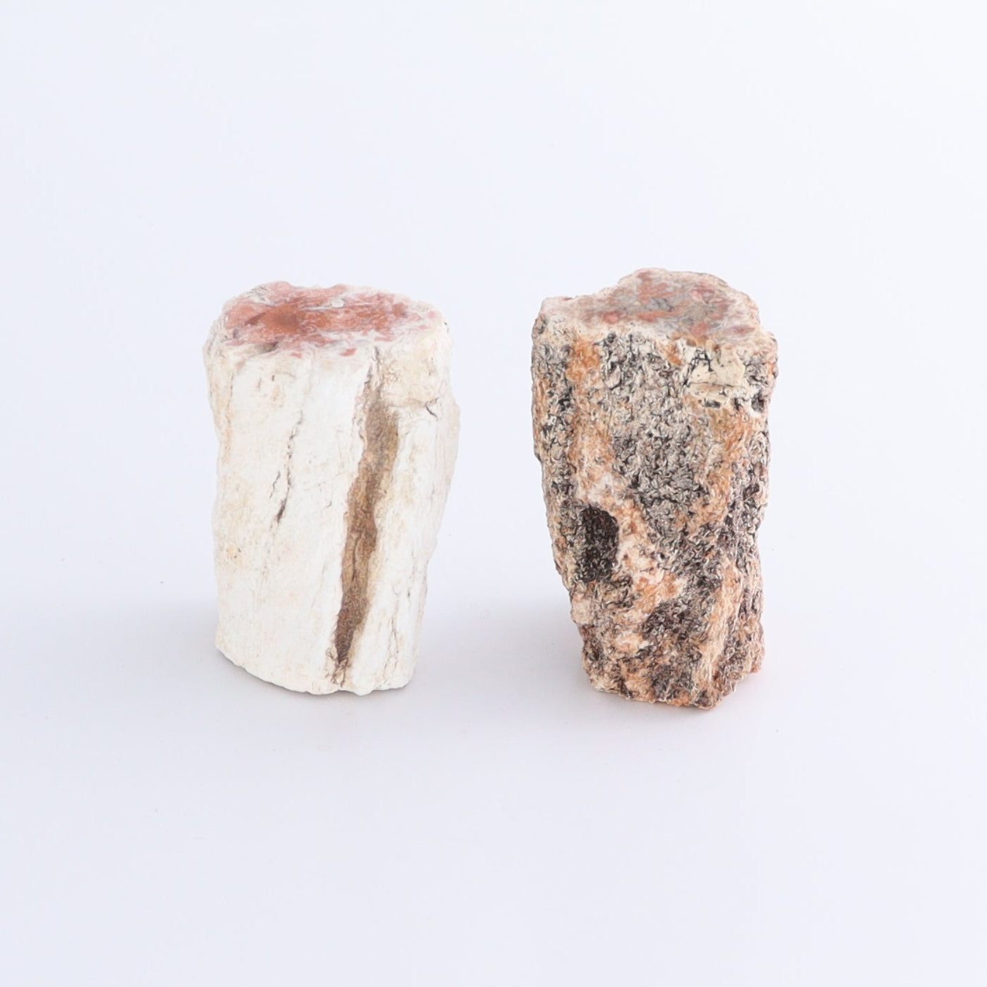 Petrified Wood Cut Bases Set of 8 - Expert Wholesale and Supplier of Wholesale Crystals & Bulk Gemstones, ["Cut Base","Petrified Wood"]