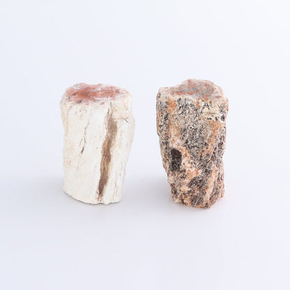 Petrified Wood Cut Bases Set of 8 - Expert Wholesale and Supplier of Wholesale Crystals & Bulk Gemstones, ["Cut Base","Petrified Wood"]