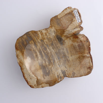Petrified Wood Bowl - Expert Wholesale and Supplier of Wholesale Crystals & Bulk Gemstones, ["Bowls","Indonesia","Petrified Wood"]
