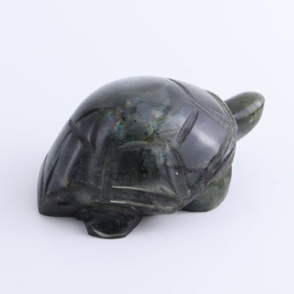 Labradorite Turtles Set of 4 - Expert Wholesale and Supplier of Wholesale Crystals & Bulk Gemstones, ["Labradorite","Madagascar","turtle","Turtles"]