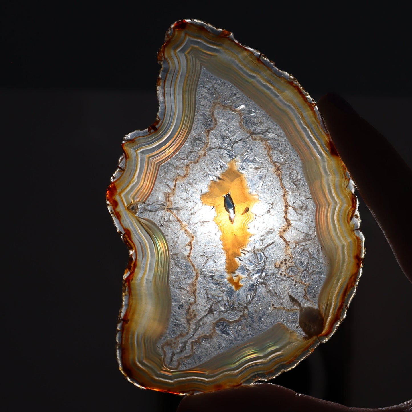 Iris Agate Slices Set of 6 - Expert Wholesale and Supplier of Wholesale Crystals & Bulk Gemstones, ["Agate","Iris Agate","Slices and Slabs"]