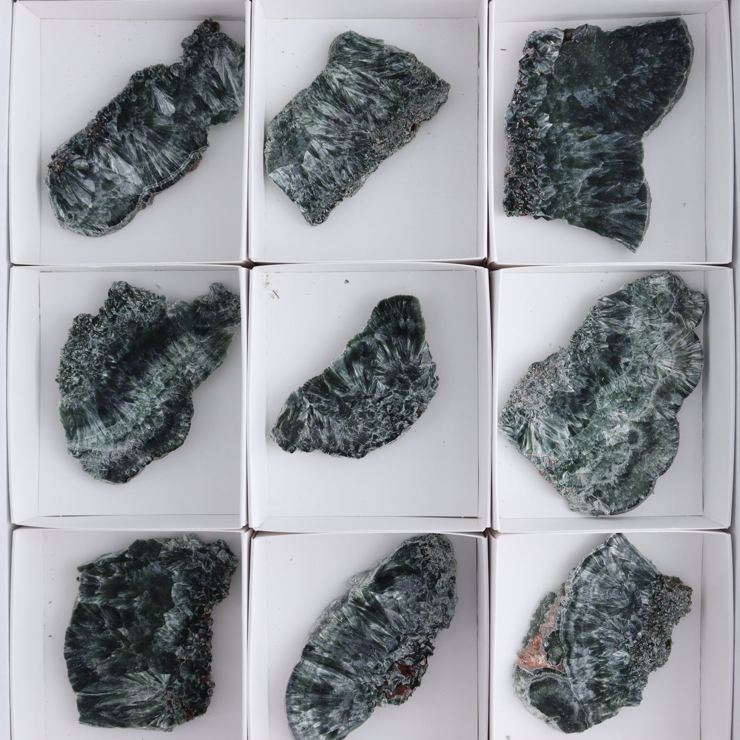 Seraphinite Slices Set of 12 - Expert Wholesale and Supplier of Wholesale Crystals & Bulk Gemstones, ["Seraphinite","Slices and Slabs"]