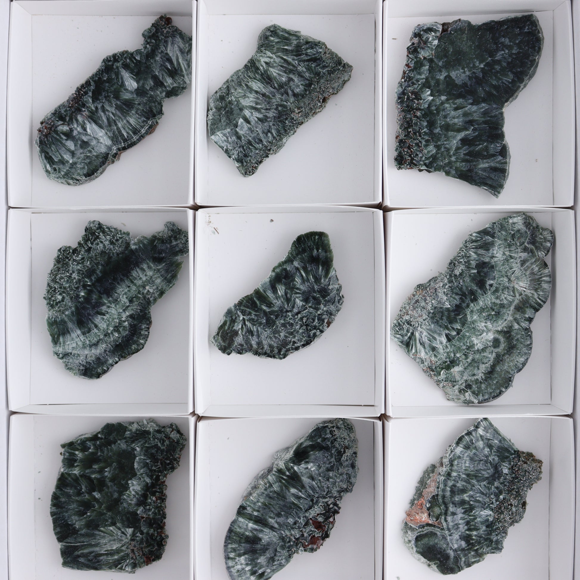 Seraphinite Slices Set of 12 - Expert Wholesale and Supplier of Wholesale Crystals & Bulk Gemstones, ["Seraphinite","Slices and Slabs"]