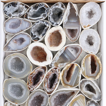 Agate Geodes Flat