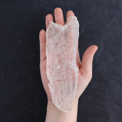 Selenite from Chihuahua Set of 9