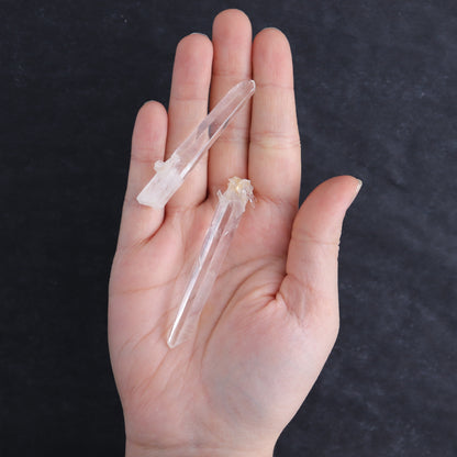 Lemurian Points Set of 6