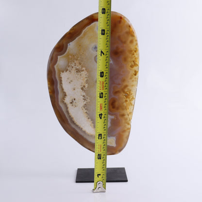 Agate on Pin - Expert Wholesale and Supplier of Wholesale Crystals & Bulk Gemstones, ["Agate","Brazil","close_30","On Pins"]